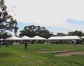 Scottish Australian Heritage Council