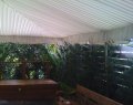 Double Bay private function in the Garden