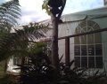 Double Bay private function in the Garden